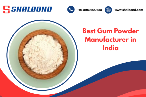 Best Gum Powder Manufacturer in India