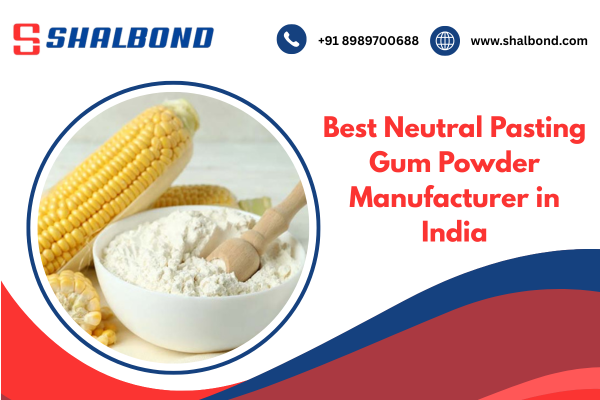 Best Neutral Pasting Gum Powder Manufacturer in India