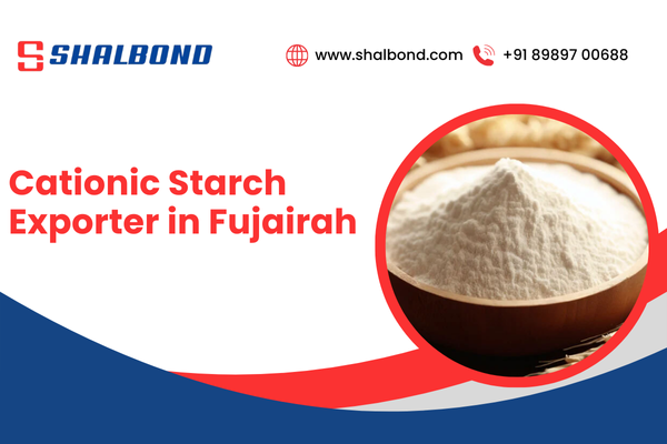 Cationic Starch Exporter in Fujairah