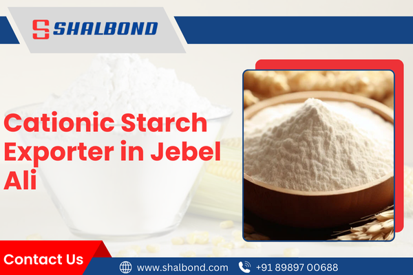 Cationic Starch Exporter in Jebel Ali