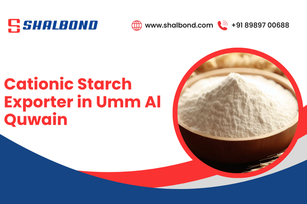 Cationic Starch Exporter in Umm Al Quwain
