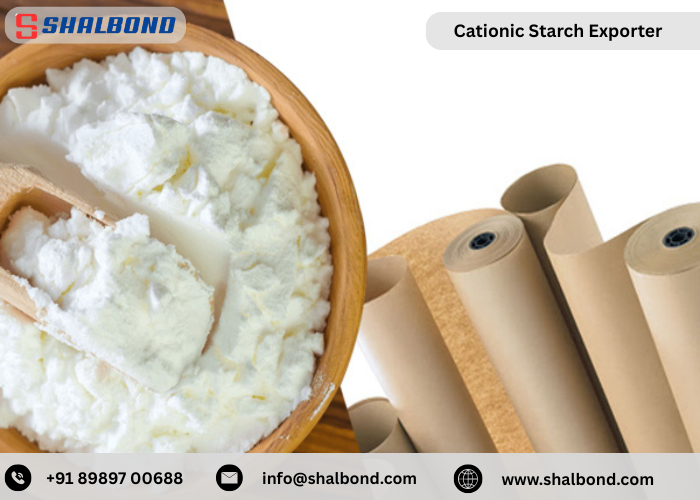 Cationic Starch Exporter