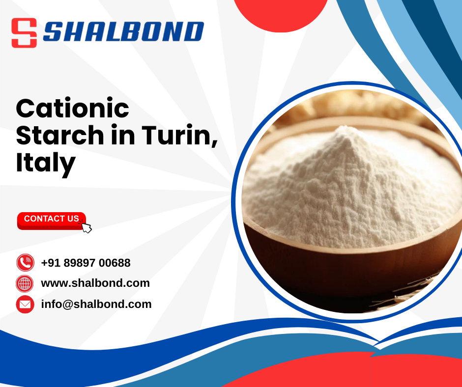 Cationic Starch in Turin, Italy