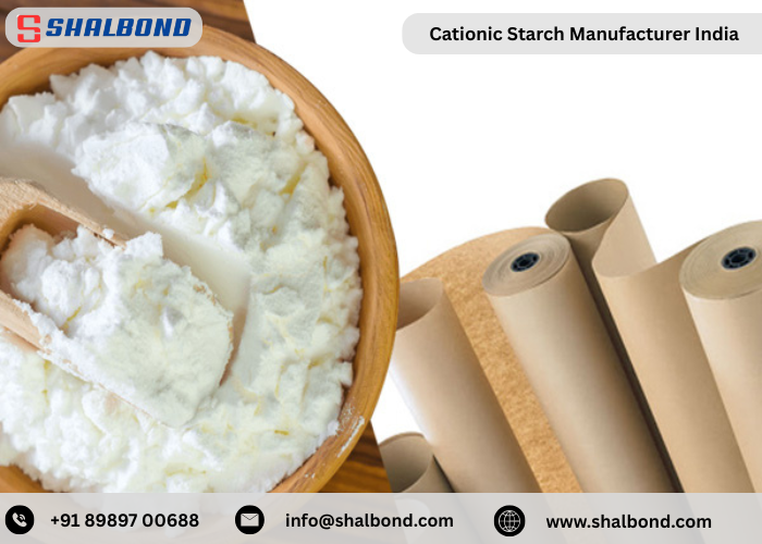 Cationic Starch Manufacturer India