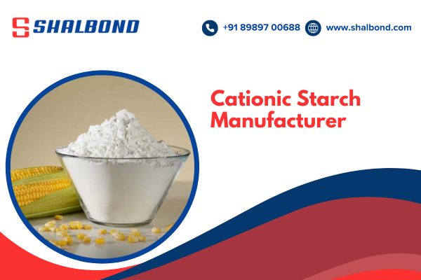 Cationic Starch Manufacturer