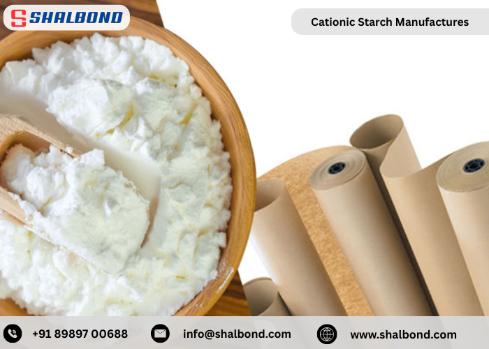 Cationic Starch Manufactures