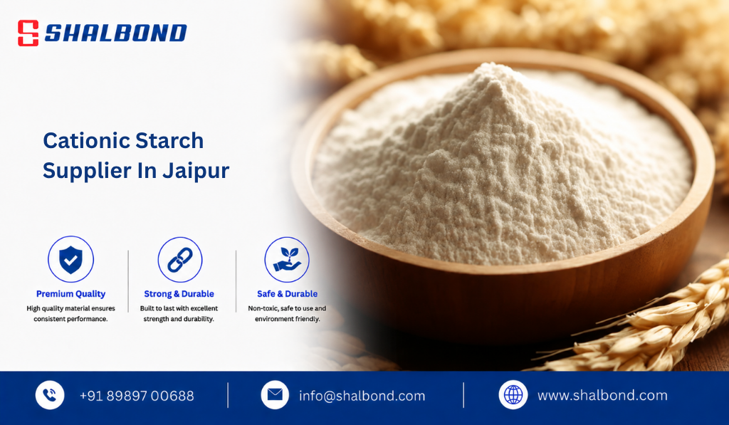 Cationic Starch Supplier in Jaipur