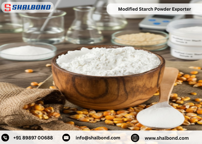 Modified Starch Powder Exporter