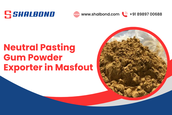 Neutral Pasting Gum Powder Exporter in Masfout