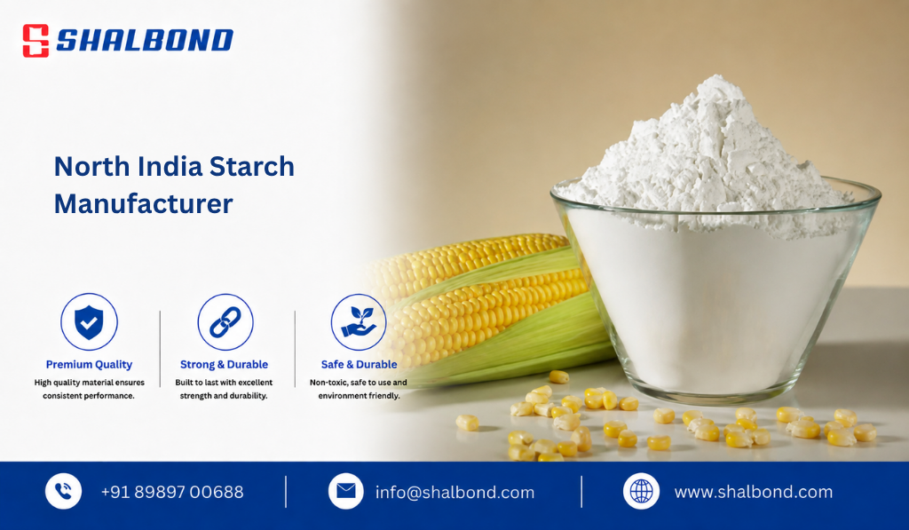 North India Starch Manufacturer