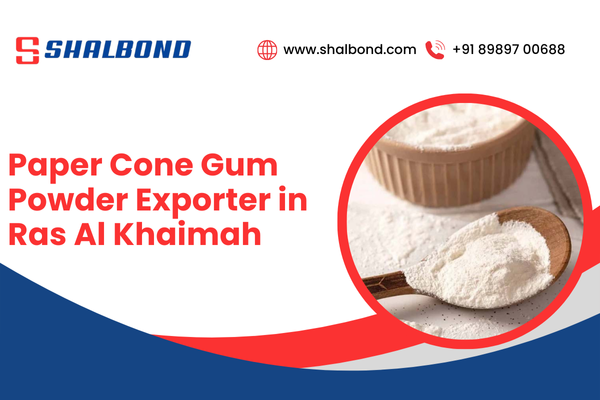Paper Cone Gum Powder Exporter in Ras Al Khaimah