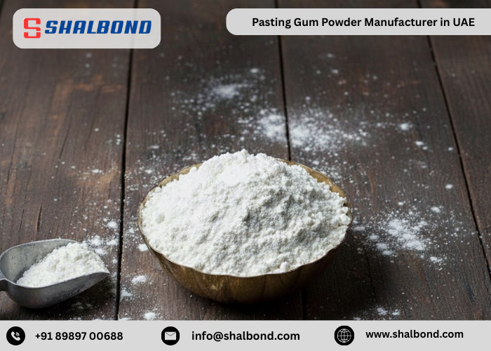 Pasting Gum Powder Manufacturer in UAE