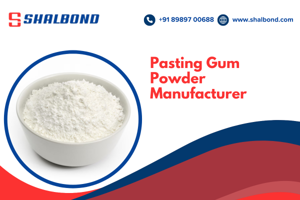 Pasting Gum Powder Manufacturer