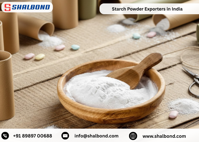 Starch Powder Exporters in India