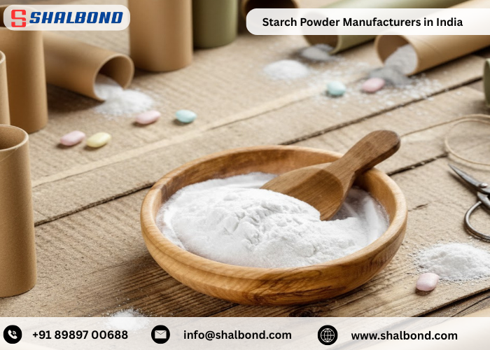 Starch Powder Manufacturers in India