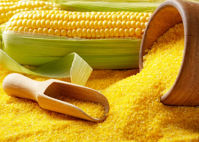 Textile Sizing Solutions South East Asia