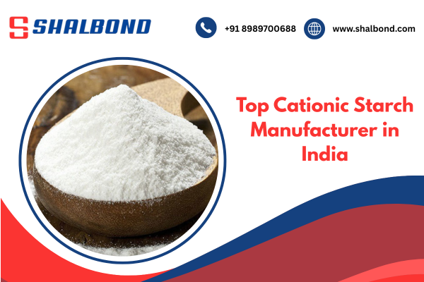 Top Cationic Starch Manufacturer in India